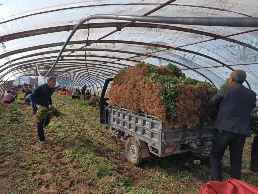 dc954611ae006deb618bc3ce8522d25