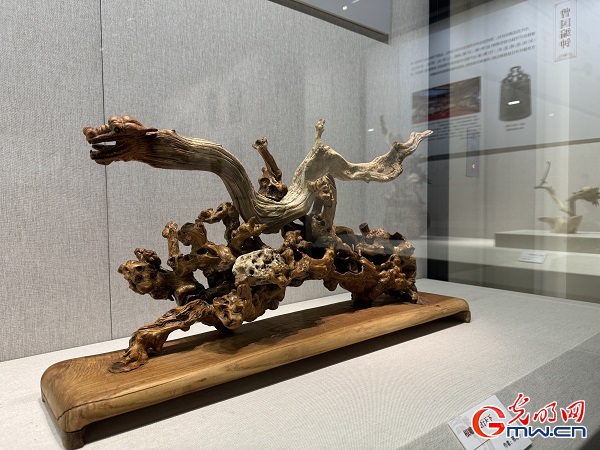 新春走基层|春节里的博物馆,“龙”味十足!