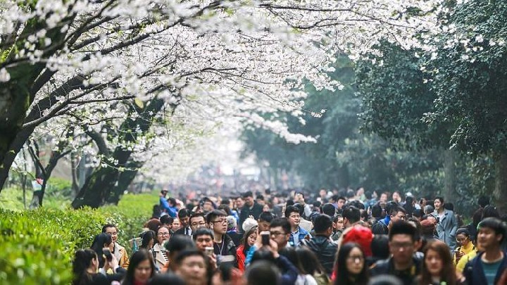 1710813235168758.jpg b4fcf0d97248580b481b80a8eb763224_2024031815473214088.jpg